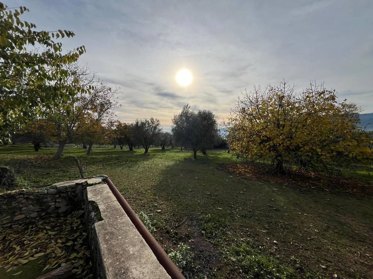 immagine annuncio 3 di 7