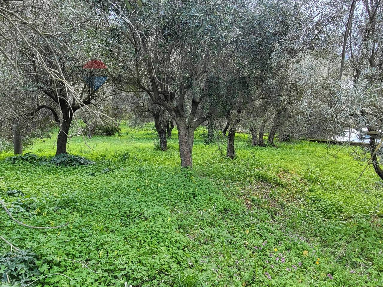 immagine annuncio 10 di 13