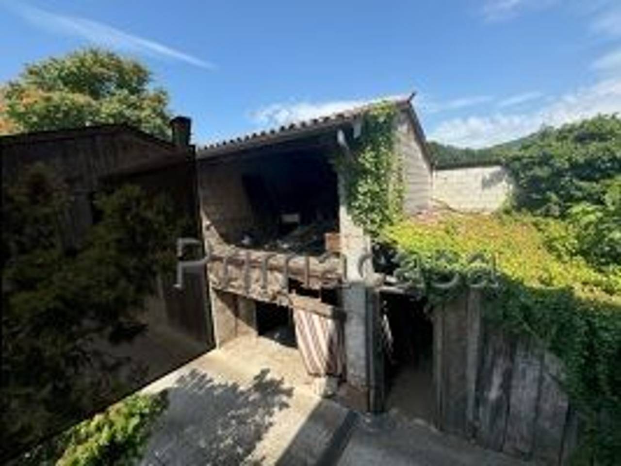 immagine annuncio 1 di 9