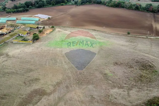 Terreno agricolo in Via di Valle di Pelle, Formello - Foto 1