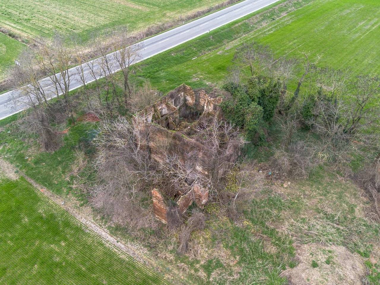 immagine annuncio 3 di 15