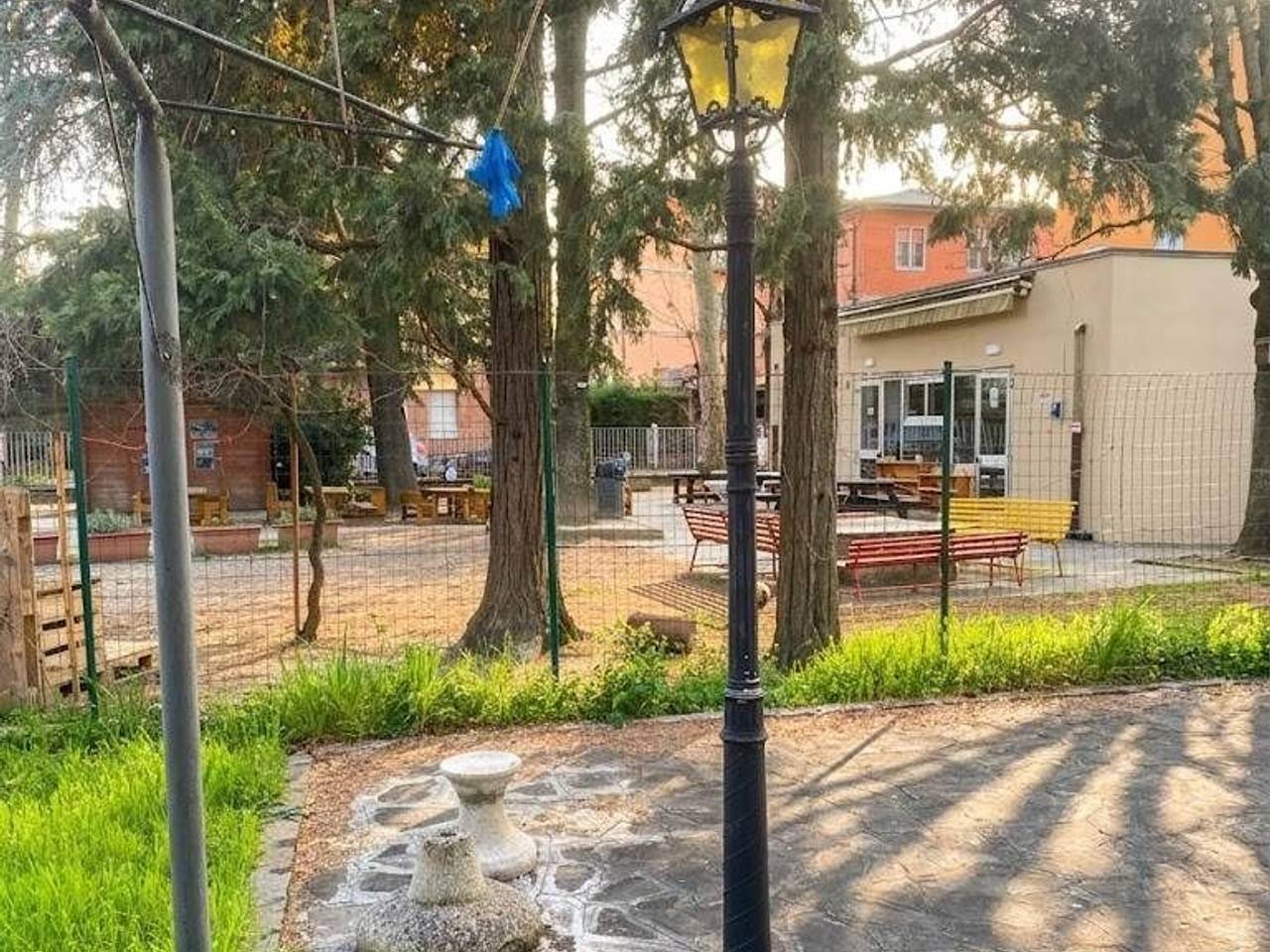 immagine annuncio 12 di 15