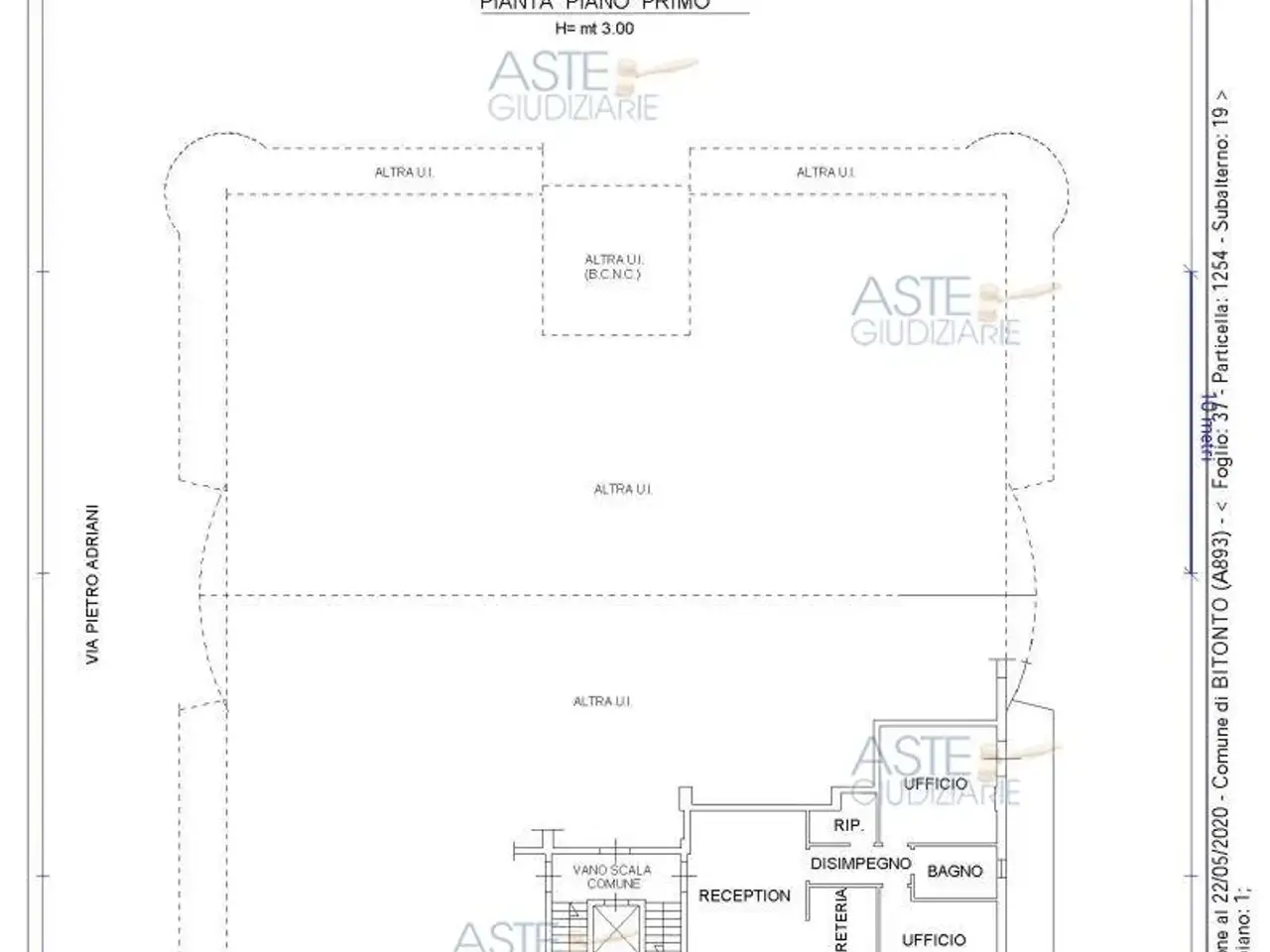 Ufficio in Viale Europa, Bitonto, {3} - Planimetria 1