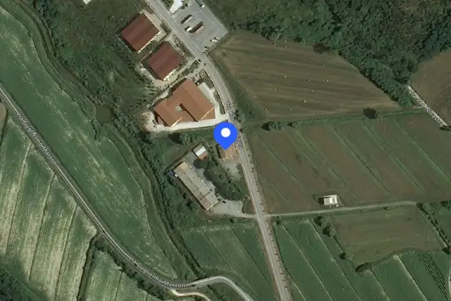 insertion image