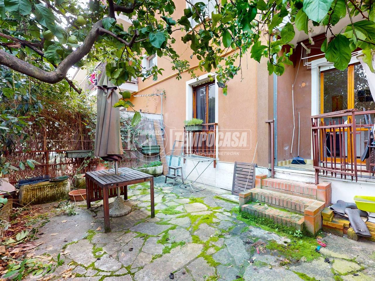 immagine annuncio 10 di 14