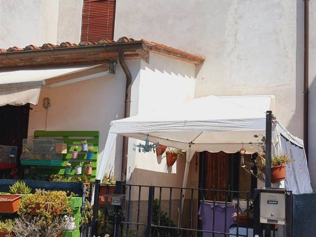 immagine annuncio 14 di 15