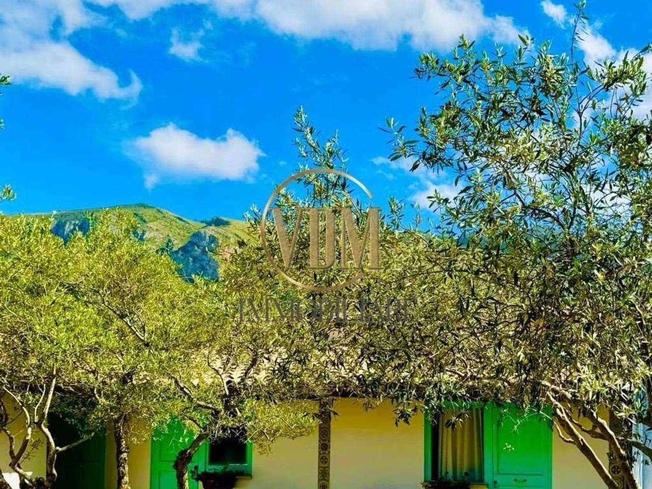 immagine annuncio 1 di 12