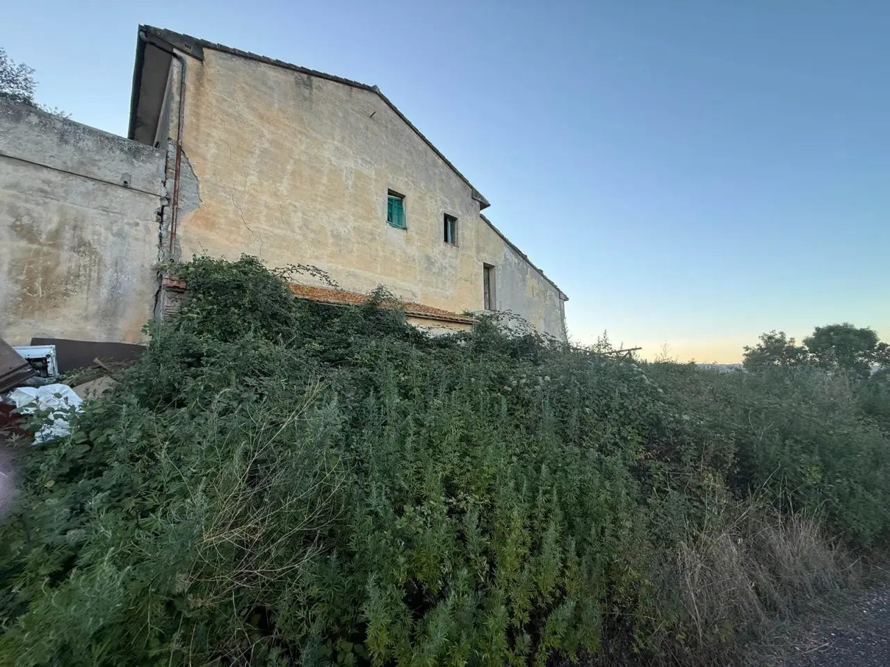 Azienda agricola in , Riparbella, {3} - Foto 2