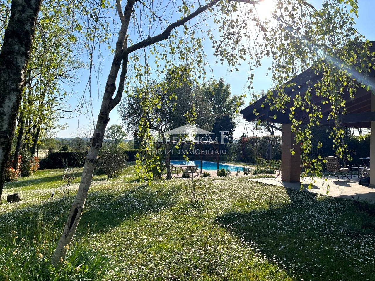 immagine annuncio 4 di 15