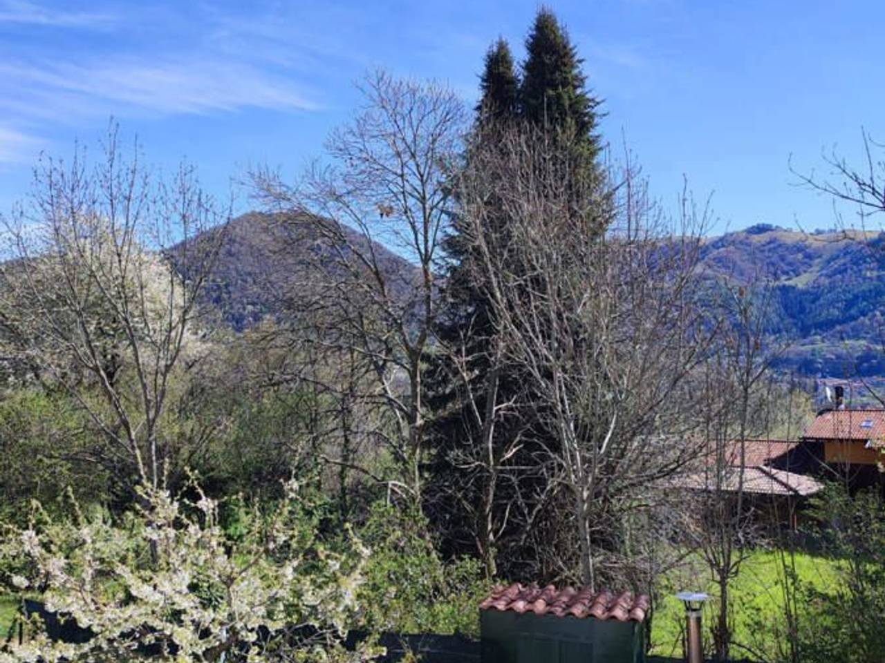 immagine annuncio 5 di 14