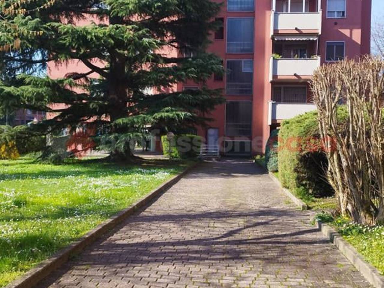 immagine annuncio 6 di 7