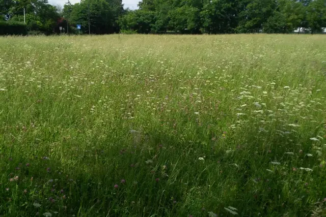 Terreno agricolo in Via San Pio X, Paese - Foto 1