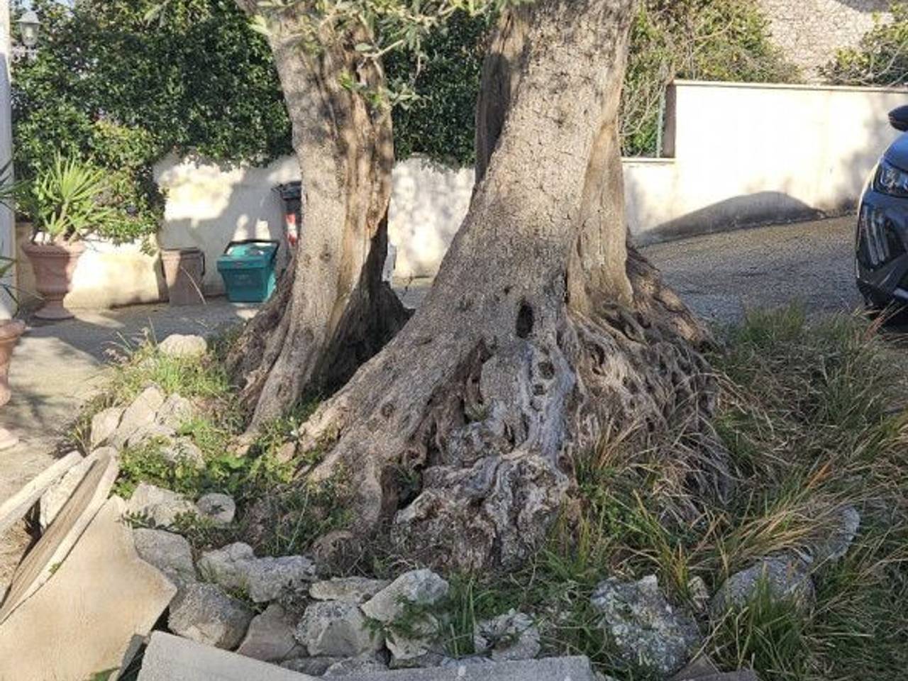 immagine annuncio 5 di 8