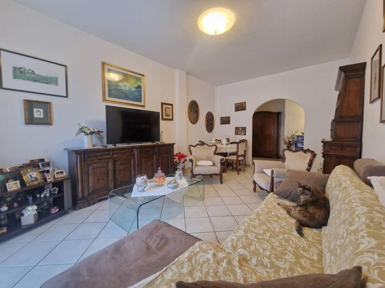 immagine annuncio 2 di 14