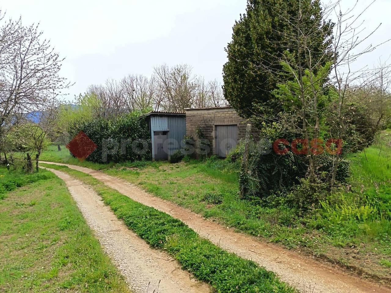 immagine annuncio 7 di 11