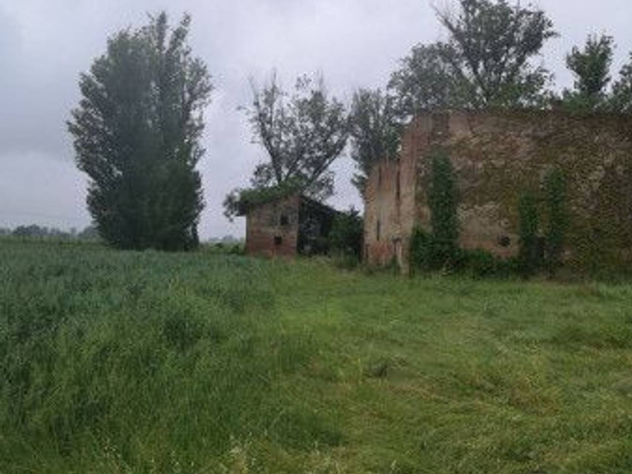 immagine annuncio 8 di 14