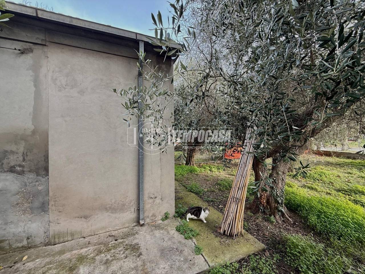 immagine annuncio 6 di 8