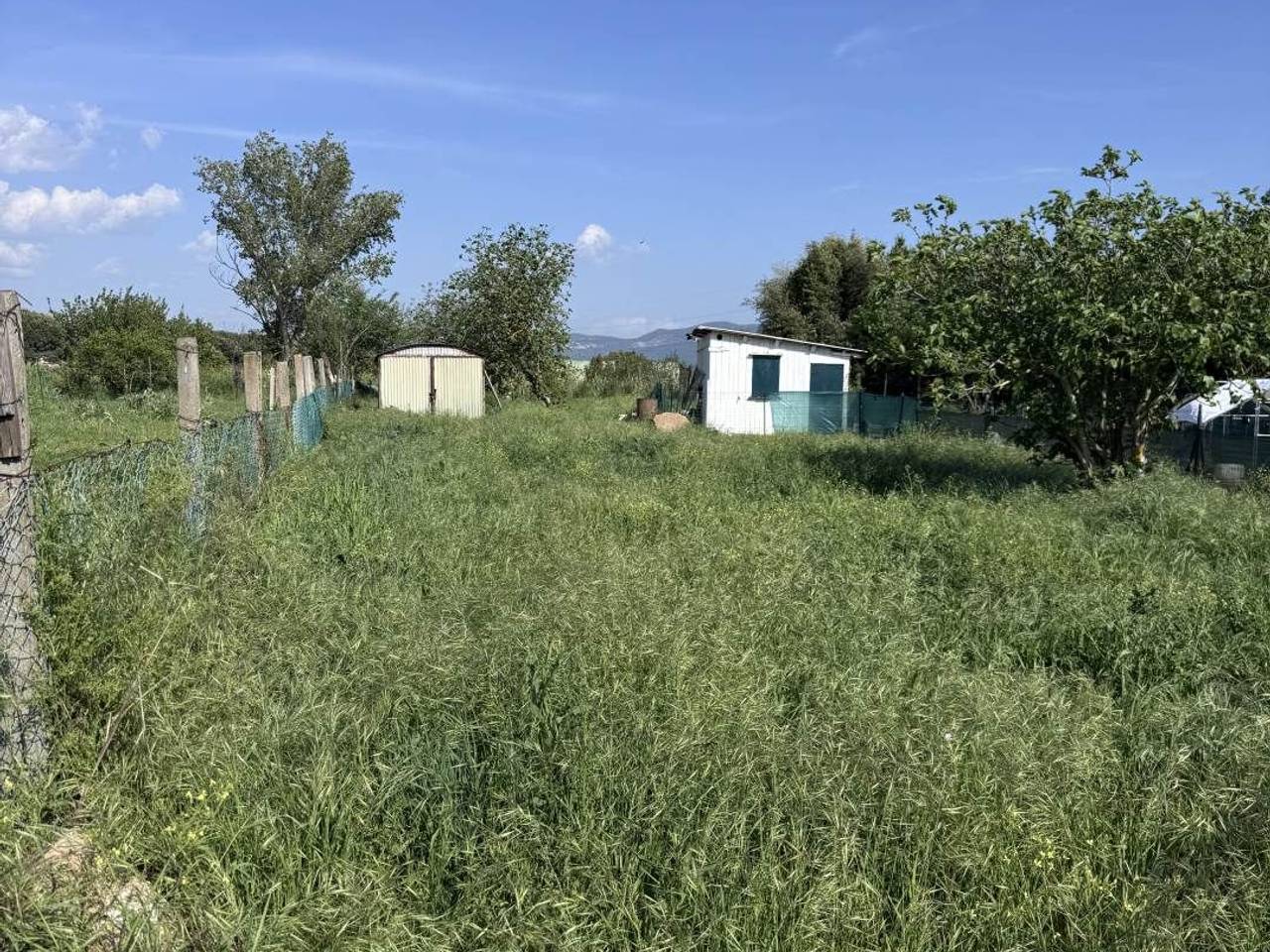 immagine annuncio 2 di 7