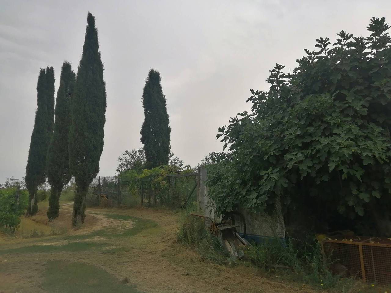 immagine annuncio 4 di 8