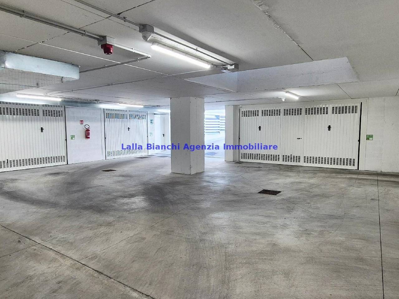 immagine annuncio 6 di 8