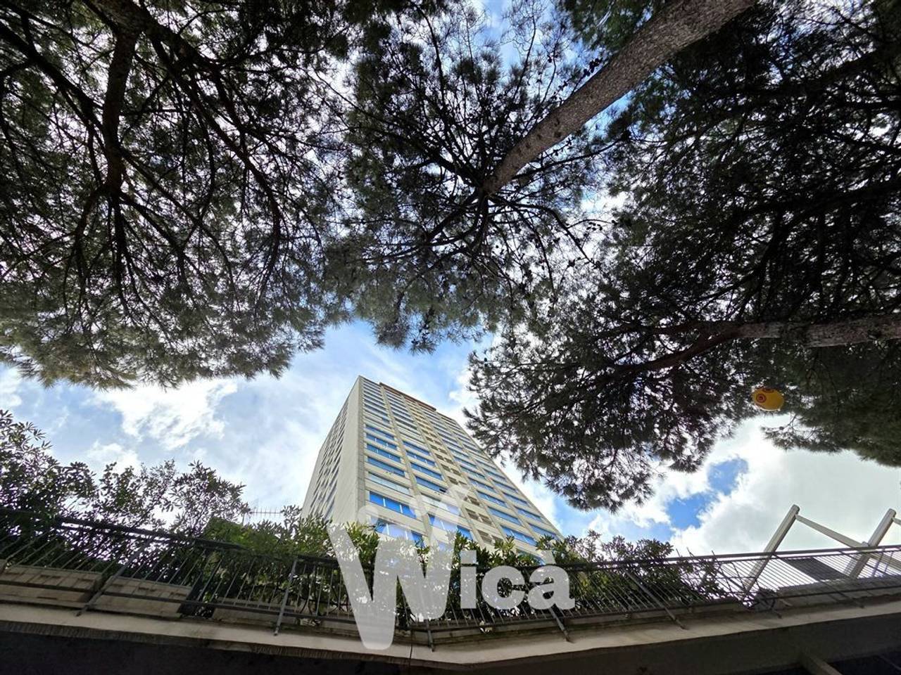 immagine annuncio 1 di 14