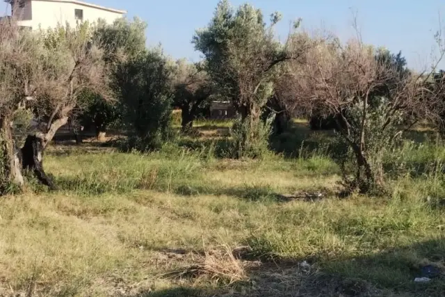 Terreno edificabile in Via della Solidarietà, Catanzaro - Foto 1