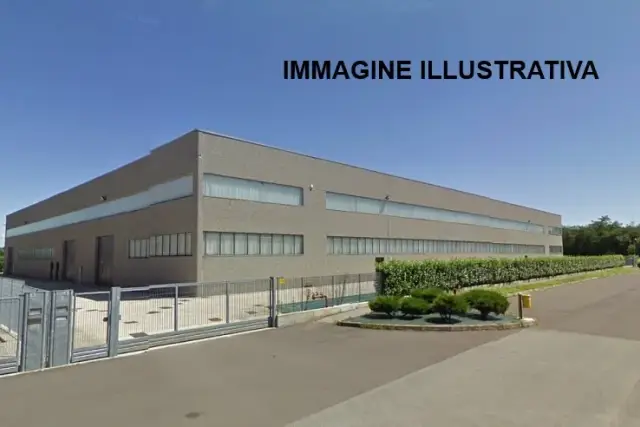 insertion image