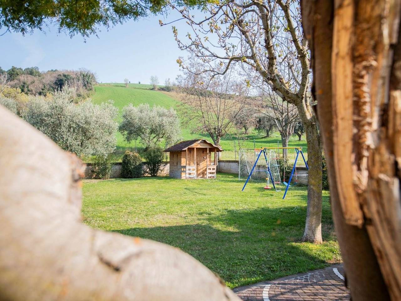 immagine annuncio 9 di 15