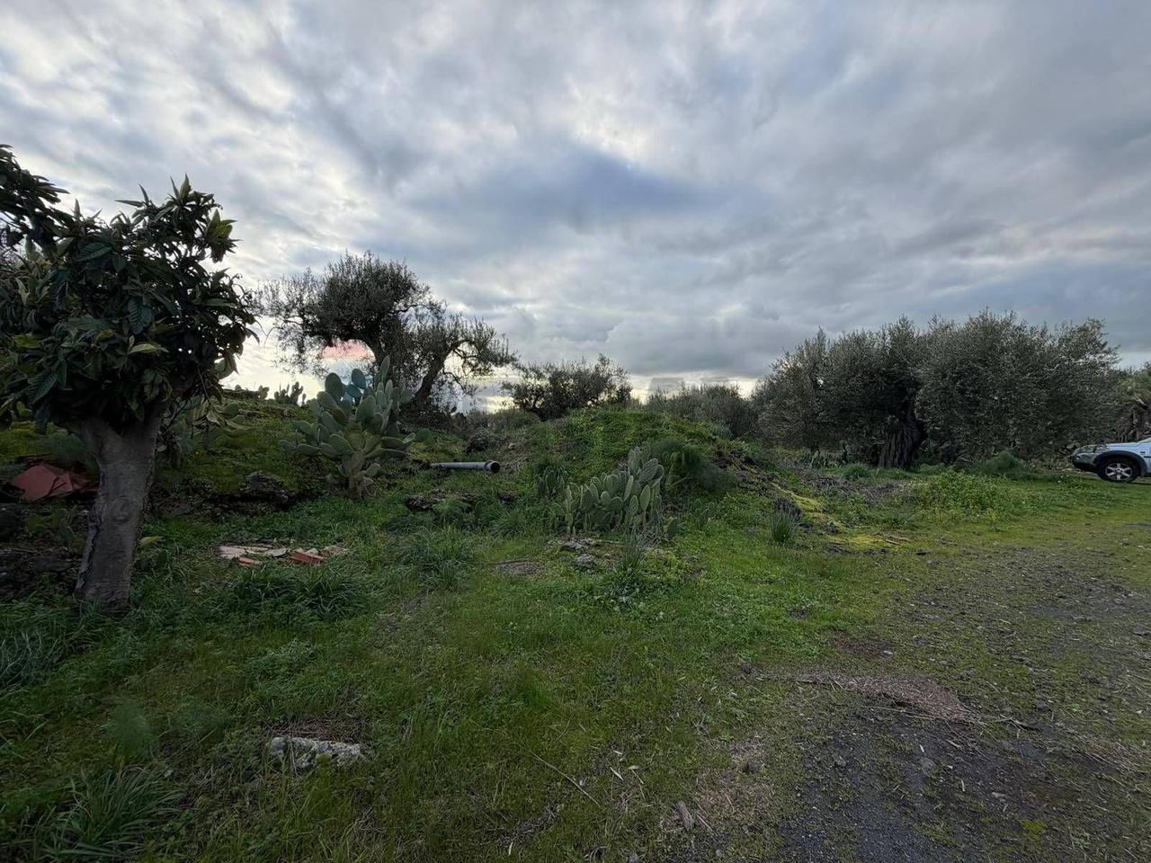 immagine annuncio 3 di 6