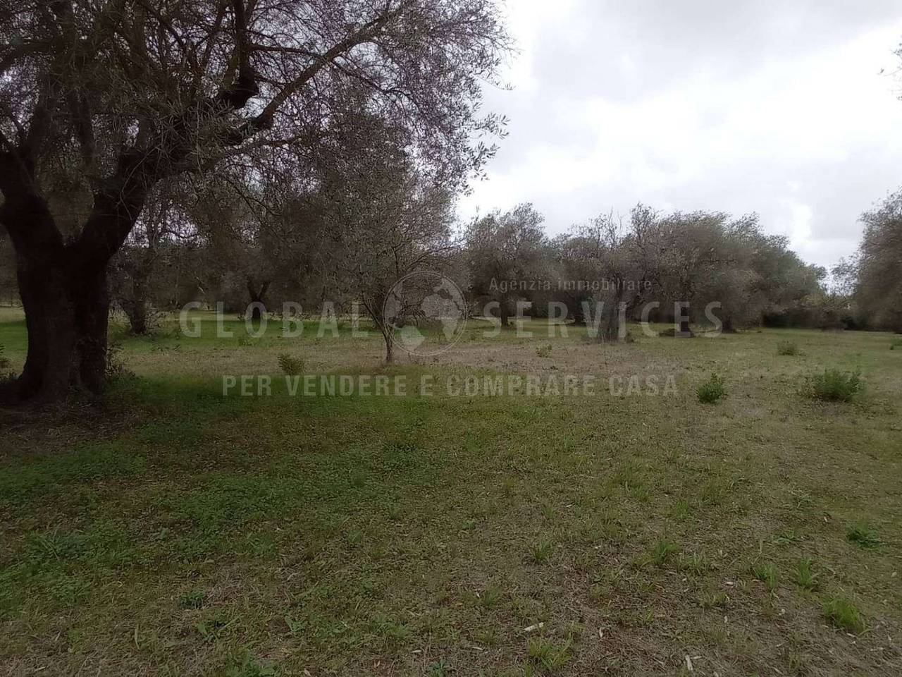 immagine annuncio 8 di 14