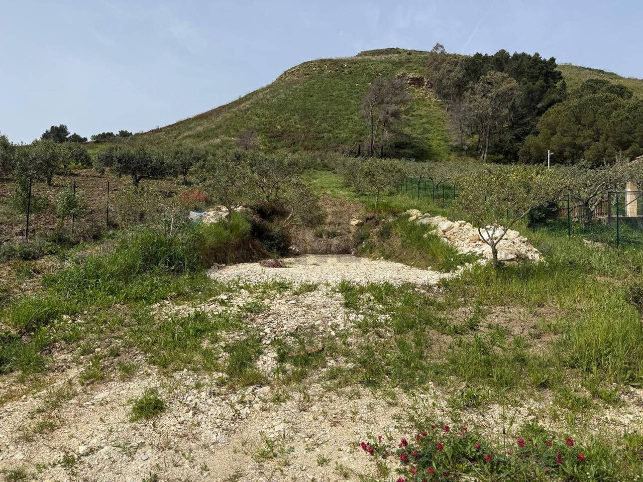 immagine annuncio 4 di 8