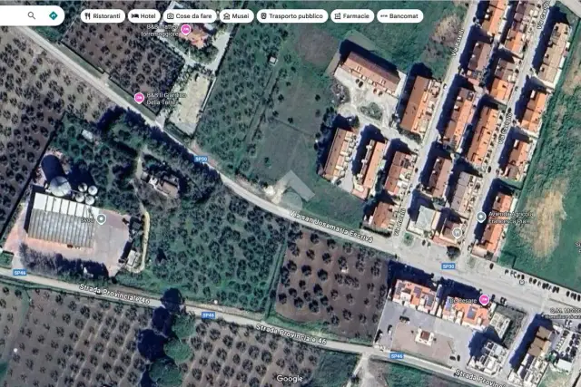 insertion image
