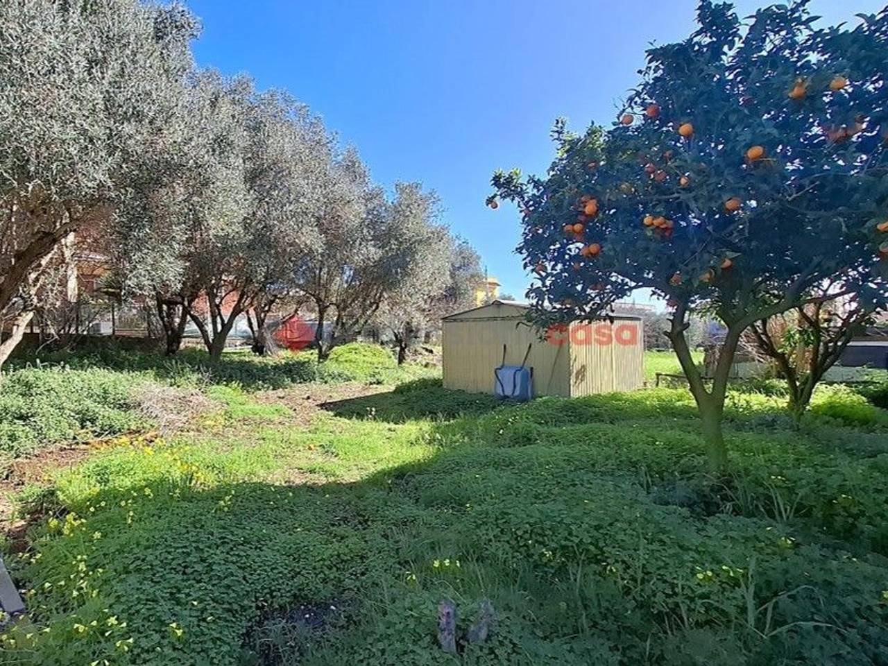 immagine annuncio 2 di 7