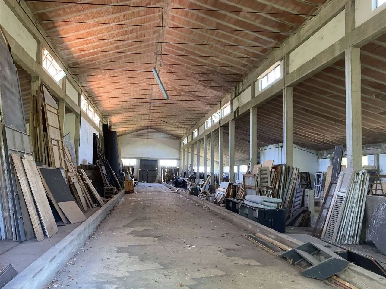 Azienda agricola in , Sovicille, {3} - Foto 2