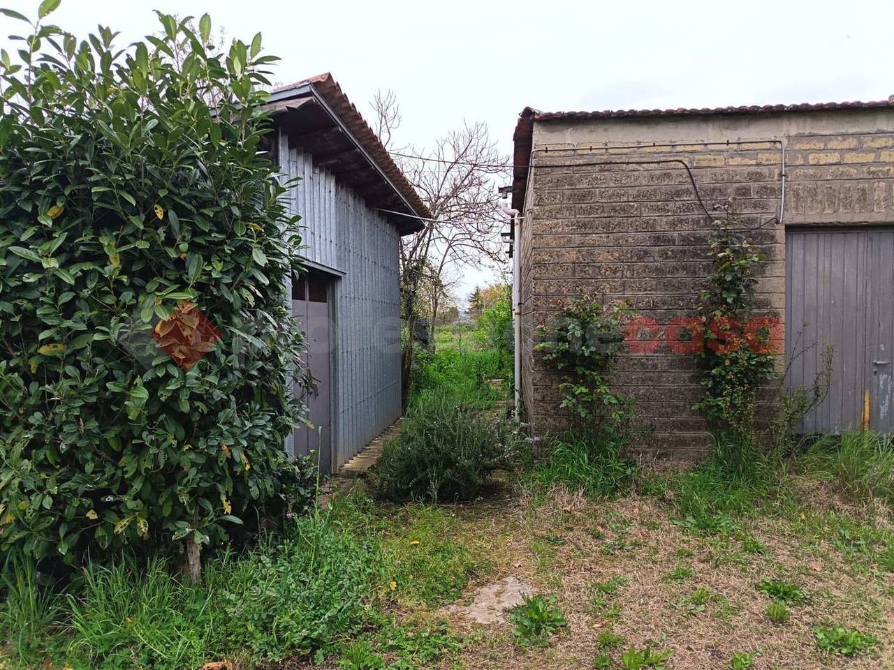 immagine annuncio 6 di 11