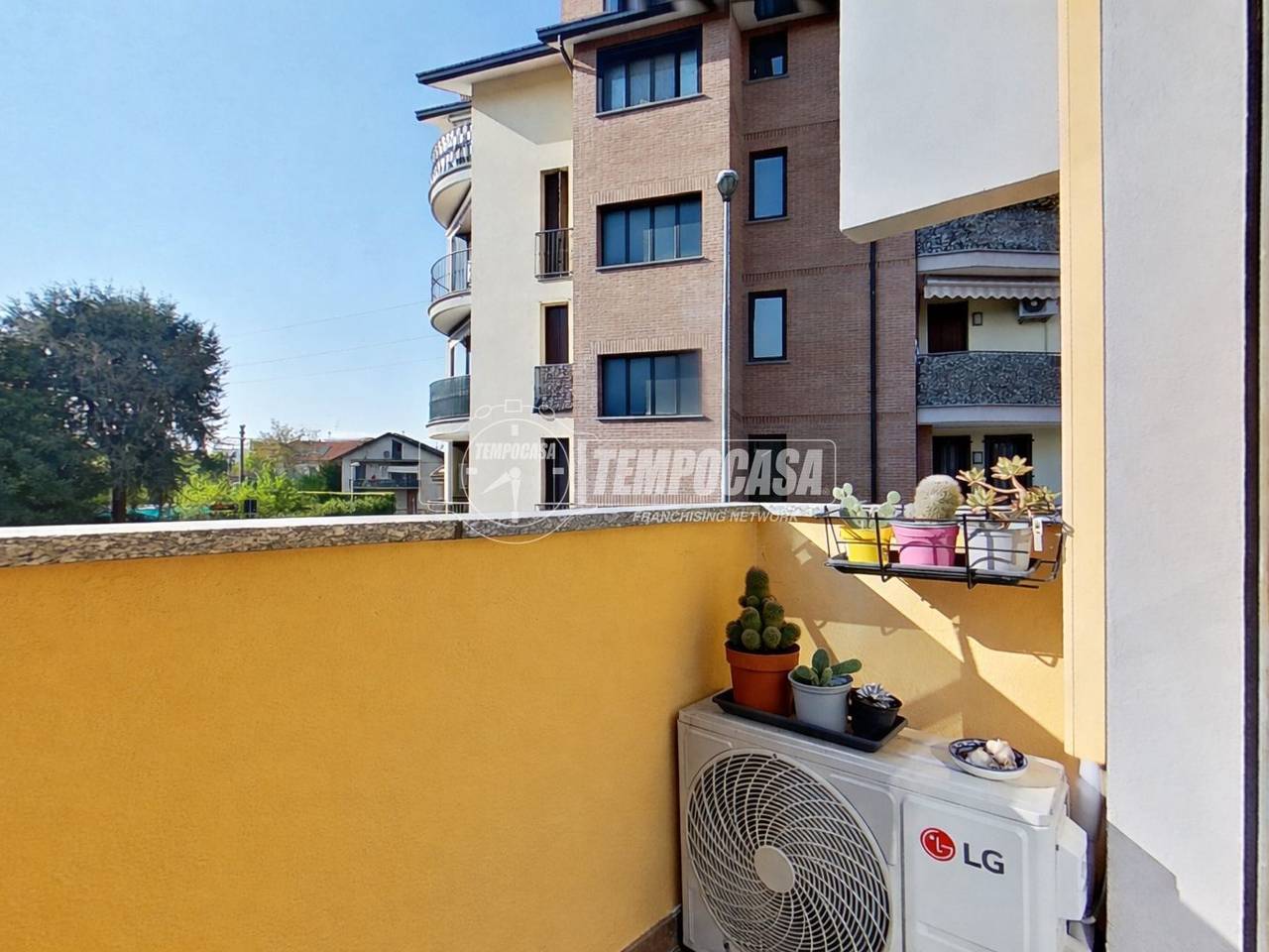 immagine annuncio 8 di 12