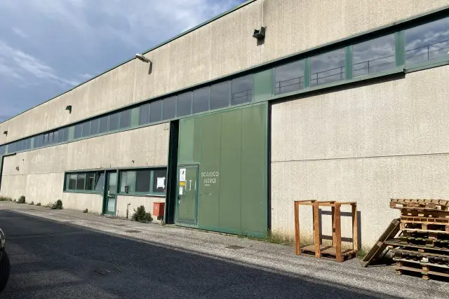insertion image