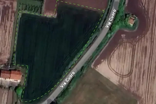 insertion image