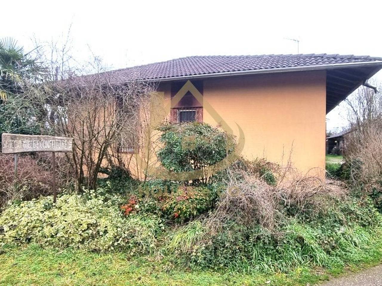 immagine annuncio 2 di 11