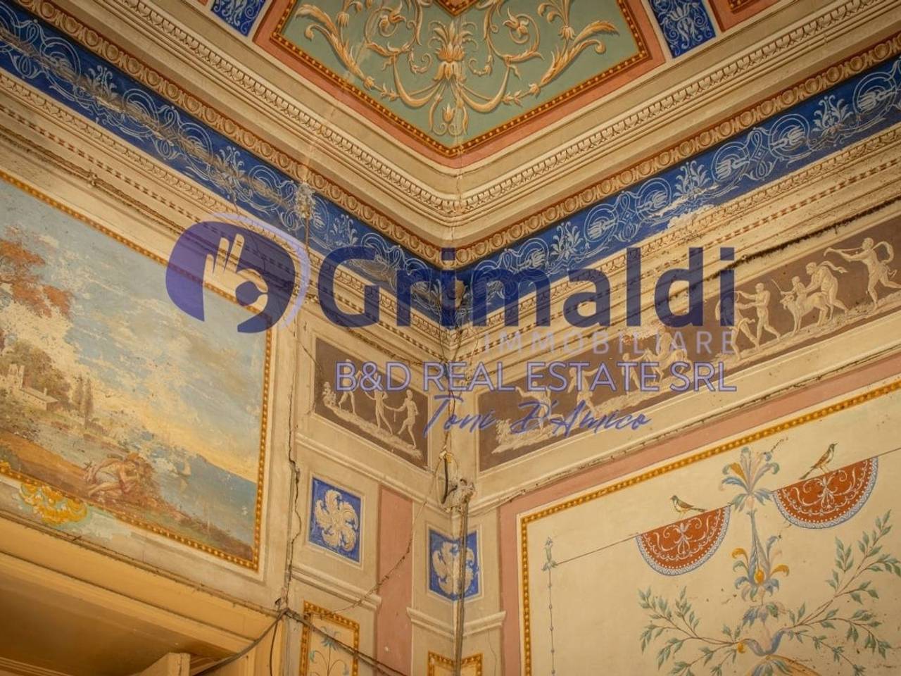 immagine annuncio 13 di 15