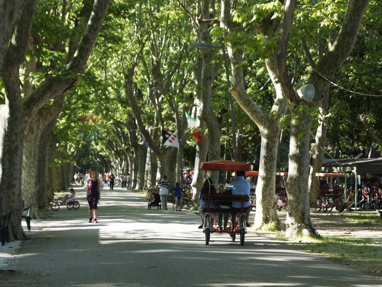 immagine annuncio 10 di 11