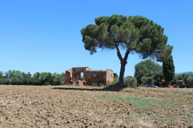 Country house or cottage, Cortona - Photo 1