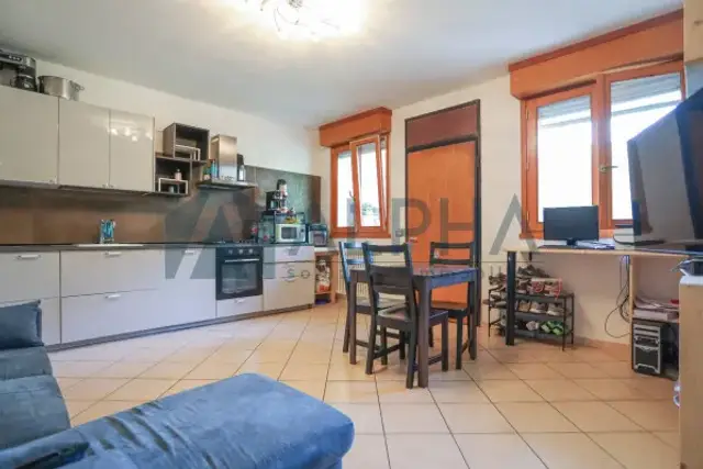 insertion image
