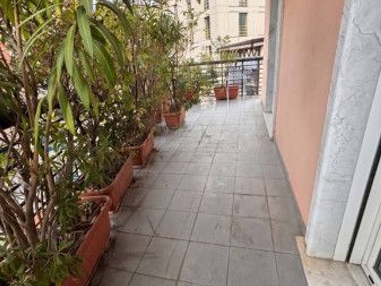 immagine annuncio 1 di 14