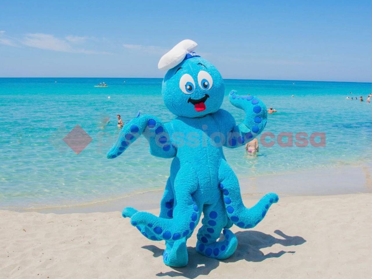 immagine annuncio 1 di 13