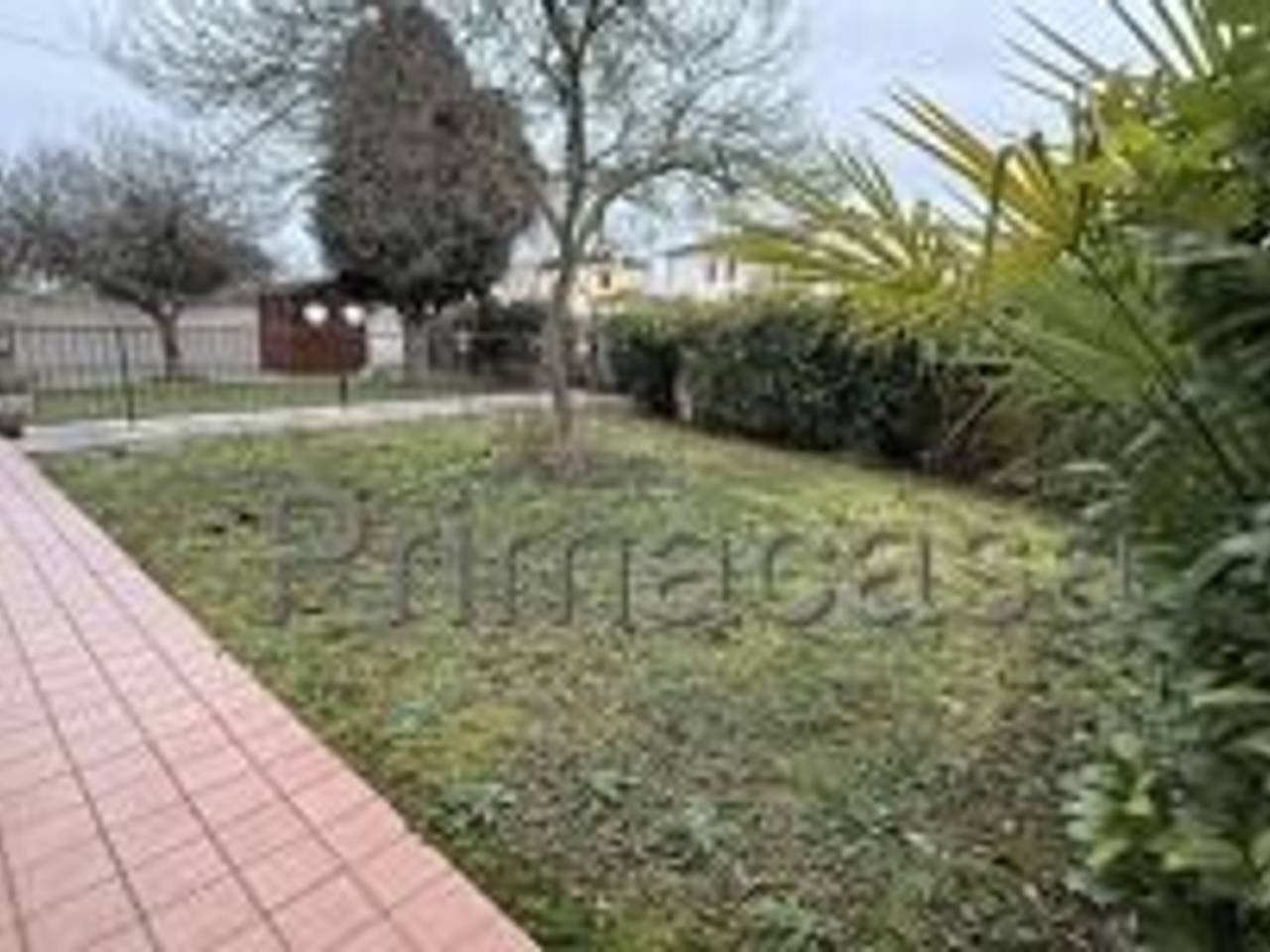 immagine annuncio 5 di 8