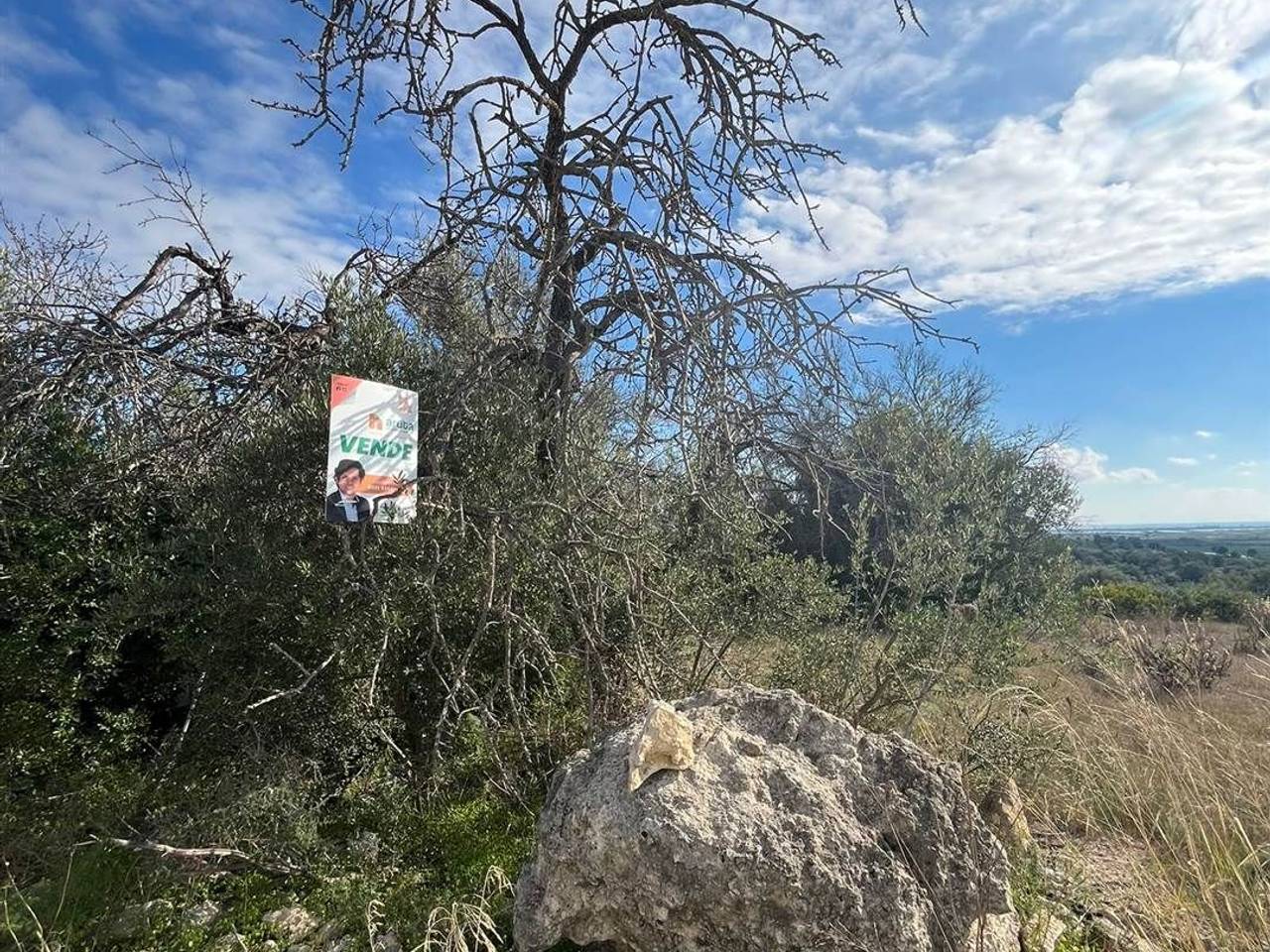 immagine annuncio 2 di 4