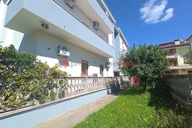 insertion image