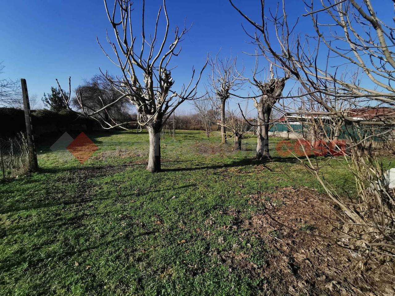 immagine annuncio 12 di 13