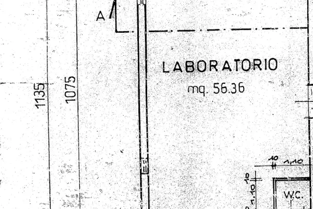 insertion image